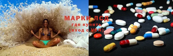 прущие грибы Верхнеуральск