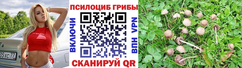 что такое   Пятигорск  Галлюциногенные грибы мухоморы 